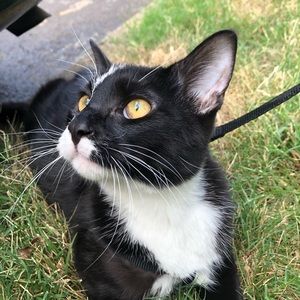 Meet your Posher, Larkin